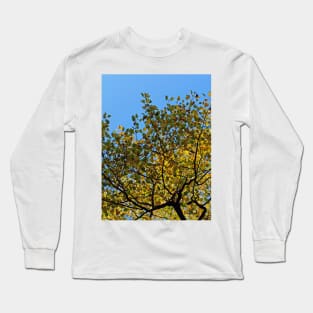 Tulip Tree in the Autumn Long Sleeve T-Shirt